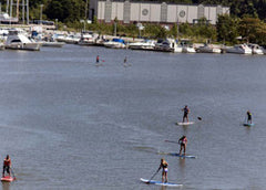 Paddle Board Excursion Black River Lorain