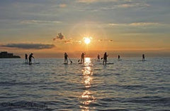 Edgewater Live Paddle Boarding